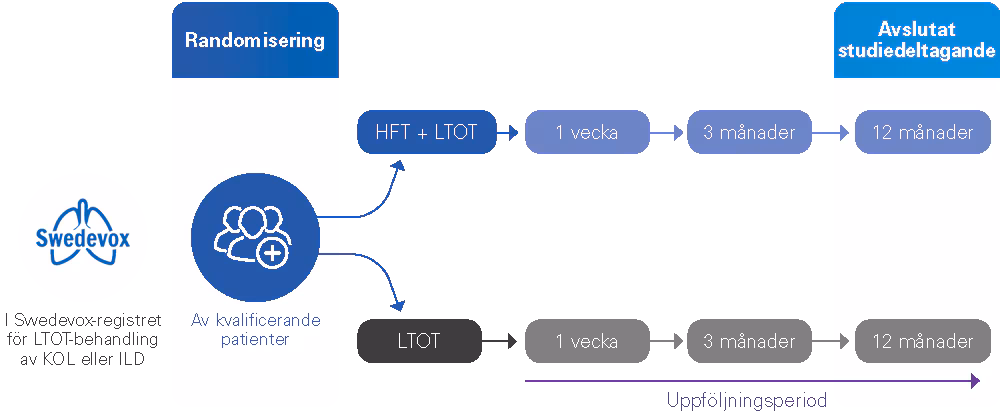 Ett flödesdiagram som visar tidslinjen för HiLOT-studien, från randomisering av deltagare till studiens slut.